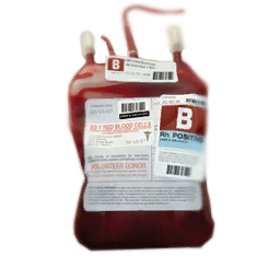 Blood Bag — 250ml